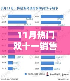 双十一销售数据解析，从入门到进阶的指南与热门销售数据公布分析