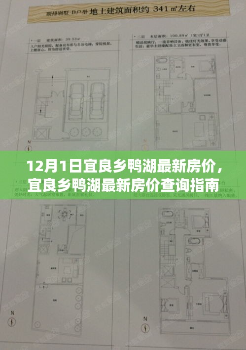 12月1日宜良乡鸭湖最新房价全攻略，购房指南与最新房价查询