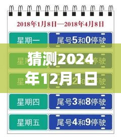 上海未来限行猜想，高架畅想曲与暖心故事，展望2024年12月的新规定