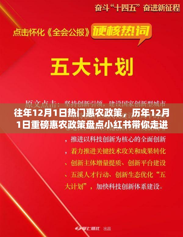 历年12月1日惠农政策盘点，走进红利时代的乡村福利小红书分享会