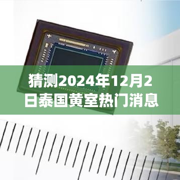 泰国黄室风云揭秘，学习变革与梦想实现，2024年12月2日的辉煌展望