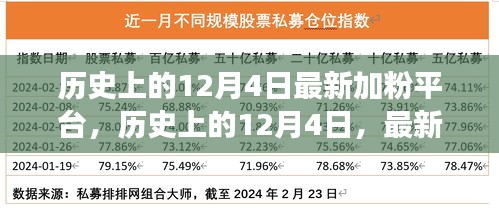 历史上的12月4日，最新加粉平台使用全攻略——初学者与进阶用户必读指南