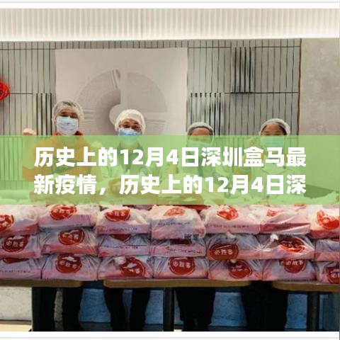 历史上的12月4日深圳盒马疫情事件深度解析与最新动态回顾