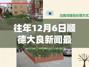 顺德大良历年十二月六日新闻回顾与影响深度探析，最新消息一览