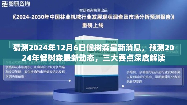 揭秘候树森最新动态，三大要点深度解读预测未来消息（2024年12月6日）