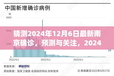 2024年12月6日南京最新确诊动态深度解析与预测关注