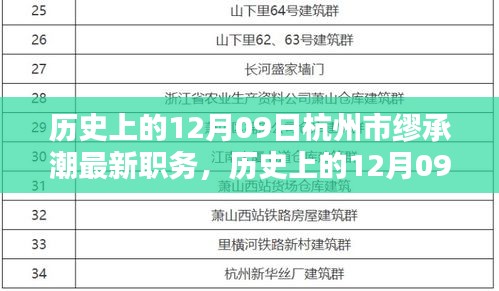 杭州市缪承潮新任职务深度解析，职责特点、用户体验与竞品对比