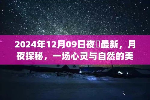 月夜探秘，心灵与自然的邂逅——记2024年12月09日夜廻之旅