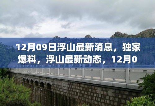 12月09日浮山独家爆料，最新动态与震撼更新