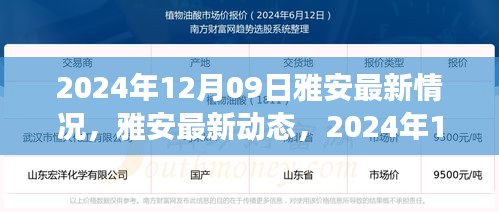 雅安最新动态深度观察，2024年12月09日最新情况报告