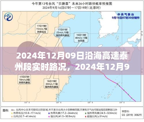 沿海高速泰州段实时路况分析与观点分享，拥堵状况下的多方视角