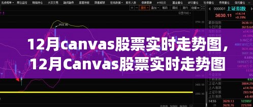 12月Canvas股票实时走势图产品全面评测与介绍，实时掌握股市动态