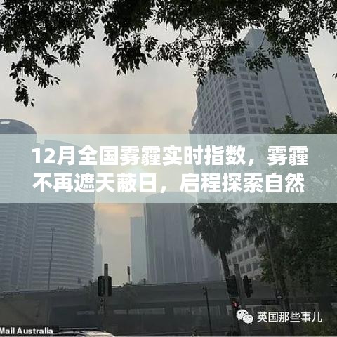 目不转睛