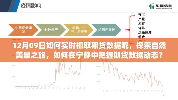 探索自然美景之旅与实时抓取期货数据，宁静中的动态把握策略