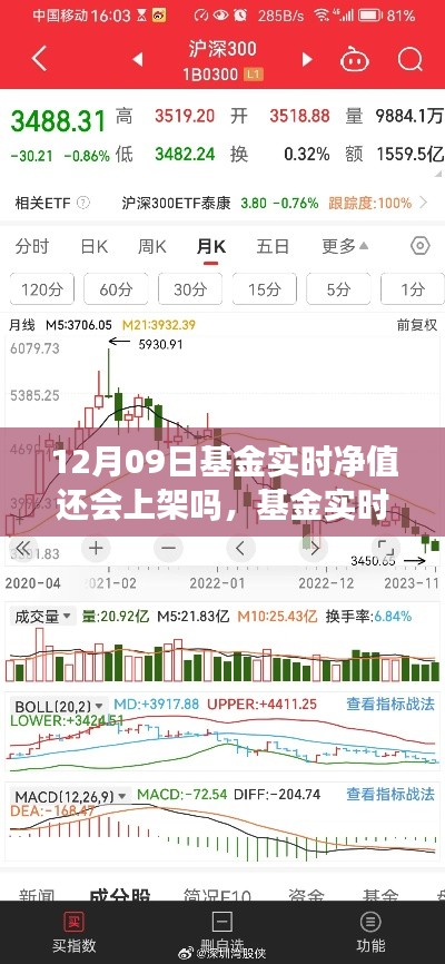 十二月九日基金实时净值上架预测与动态解析