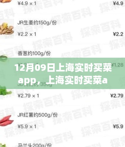 上海实时买菜app使用指南，从初学者到进阶用户的全方位指南（12月09日版）