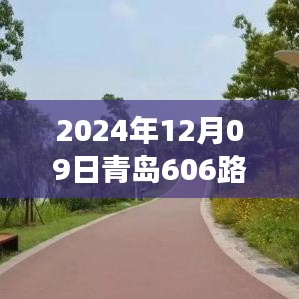 青岛606路，奇遇与温情的陪伴之旅（实时位置更新）