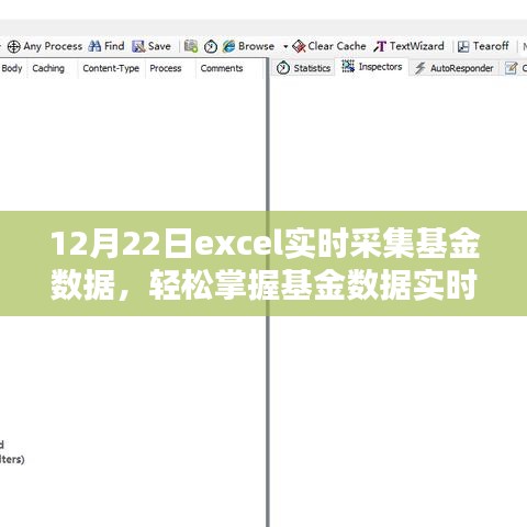 Excel基金数据实时采集进阶，掌握实时动态，轻松管理投资组合（12月22日）