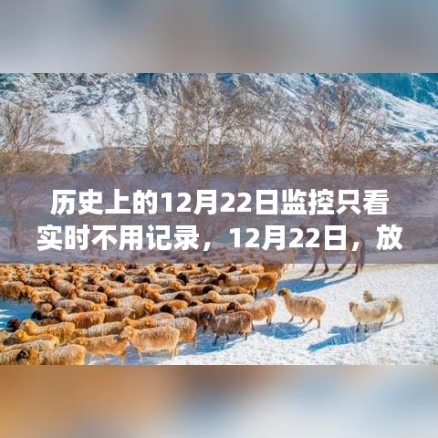 12月22日，放下记录，心灵旅行的日子