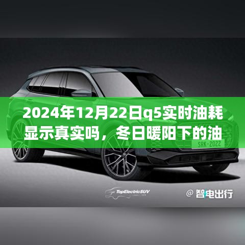 冬日暖阳下的真相探寻，2024年Q5实时油耗显示的可信度与友情之旅