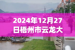 梧州市云龙大桥实时水位监测指南，以初学者和进阶用户视角看水位监测