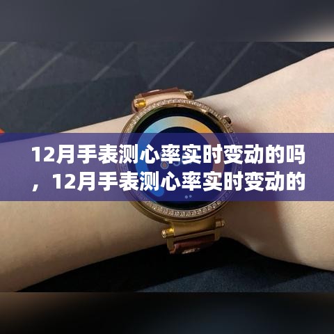 12月手表心率实时监测技术解析与观点阐述