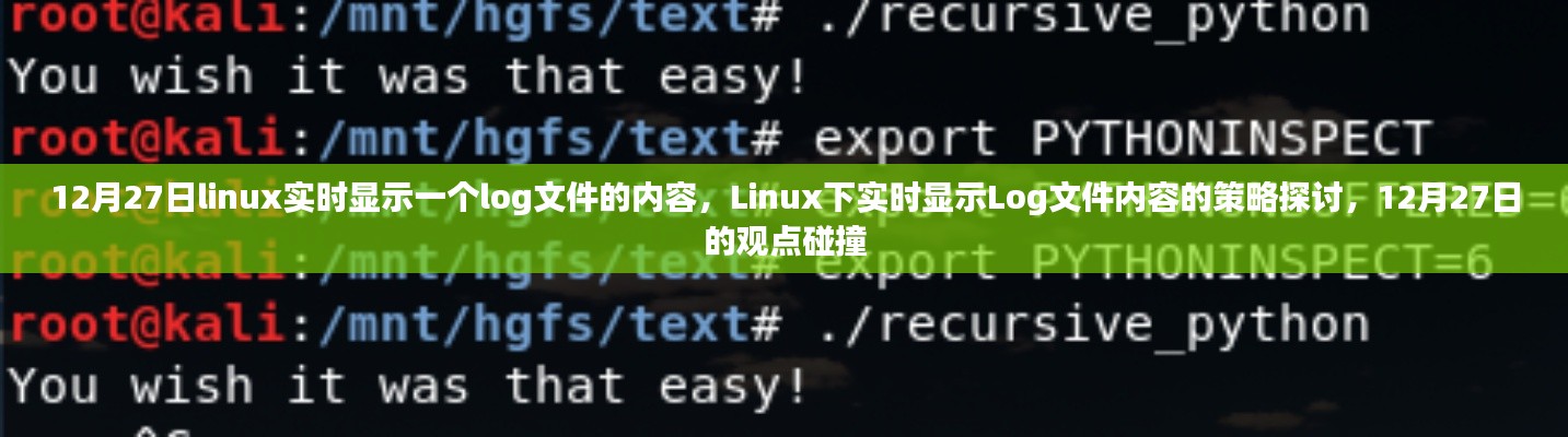 Linux下实时显示Log文件内容的策略探讨，观点碰撞与实时更新技术