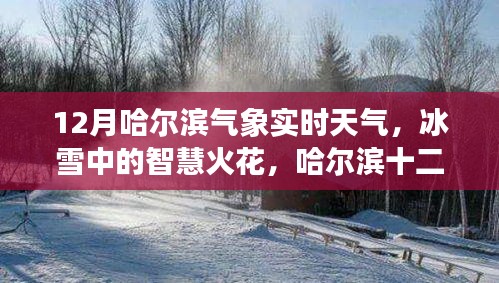 哈尔滨十二月冰雪智慧，气象实时观察与启示录