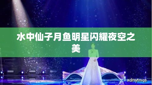 水中仙子月鱼明星闪耀夜空之美