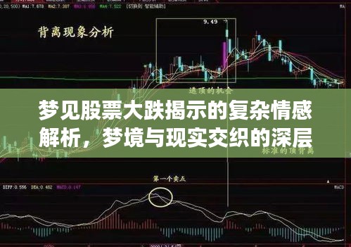 梦见股票大跌揭示的复杂情感解析，梦境与现实交织的深层解读