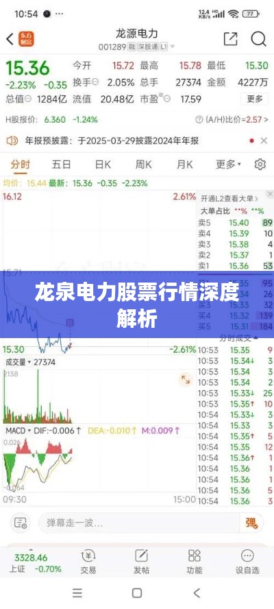 龙泉电力股票行情深度解析