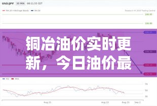 铜冶油价实时更新，今日油价最新消息速递