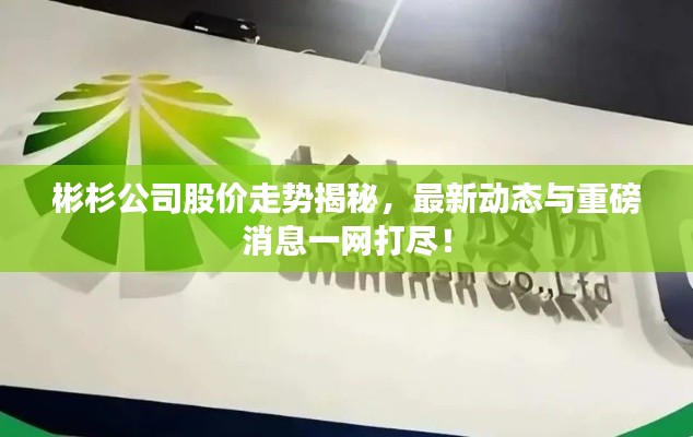 彬杉公司股价走势揭秘，最新动态与重磅消息一网打尽！