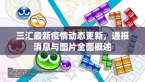 三汇最新疫情动态更新，通报消息与图片全面概述