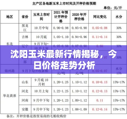 沈阳玉米最新行情揭秘，今日价格走势分析