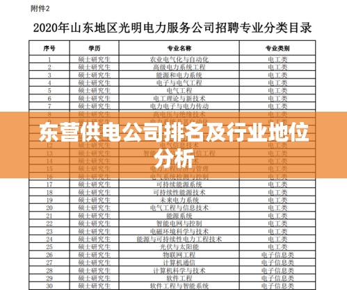 东营供电公司排名及行业地位分析