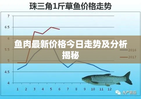 鱼肉最新价格今日走势及分析揭秘