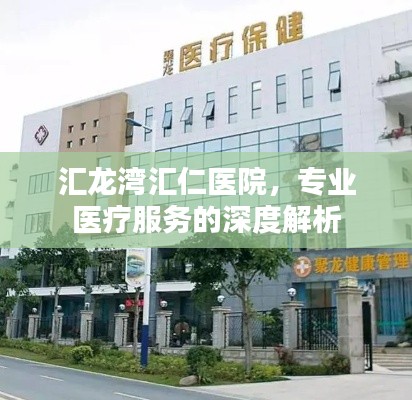 汇龙湾汇仁医院，专业医疗服务的深度解析