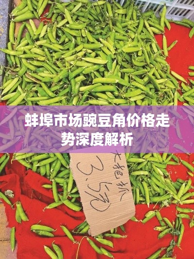 蚌埠市场豌豆角价格走势深度解析