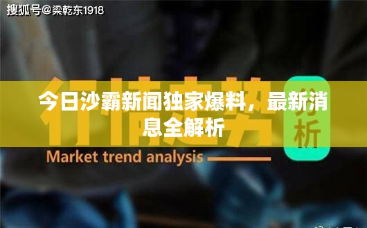 今日沙霸新闻独家爆料，最新消息全解析