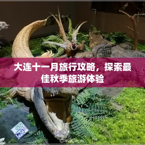 大连十一月旅行攻略，探索最佳秋季旅游体验