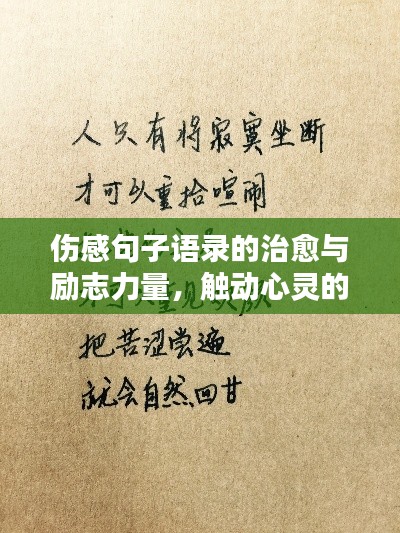 伤感句子语录的治愈与励志力量，触动心灵的温暖话语