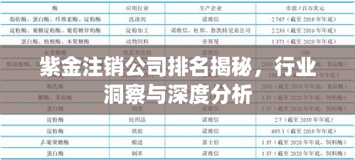 紫金注销公司排名揭秘，行业洞察与深度分析