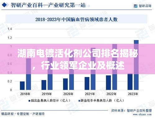 湖南电镀活化剂公司排名揭秘，行业领军企业及概述