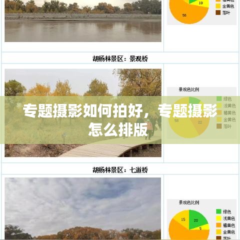 专题摄影如何拍好，专题摄影怎么排版 