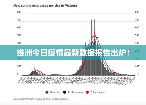 维洲今日疫情最新数据报告出炉！