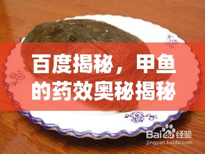 百度揭秘，甲鱼的药效奥秘揭秘！