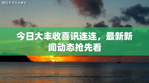 今日大丰收喜讯连连，最新新闻动态抢先看