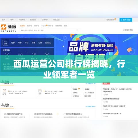 西瓜运营公司排行榜揭晓，行业领军者一览