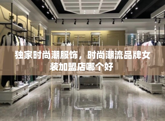 独家时尚潮服饰，时尚潮流品牌女装加盟店哪个好 